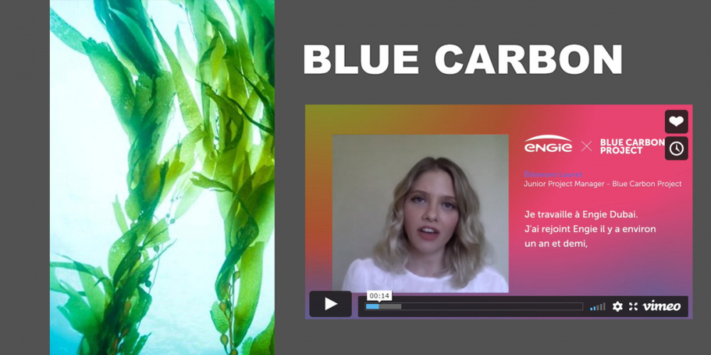 blue planet carbon capture blue planet carbon capture