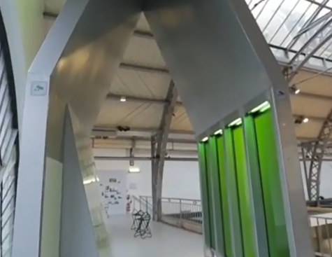 Microalgae in the Arsenal Pavillon