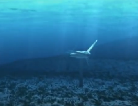 Hydrokinetic power, the innovative energy transition lever