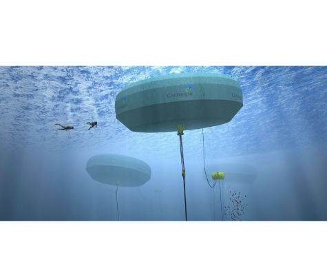 In Australia, the first wave energy power plant connected to the energy grid