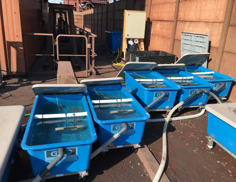 ENGIE Lab CRIGEN teste les biopolymères marins contre le fouling