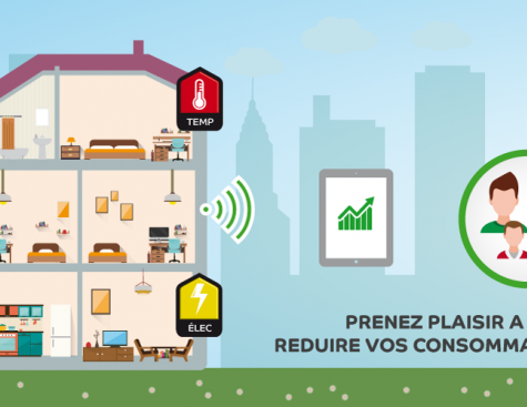 eGreen: Facilitating energy efficiency through gaming