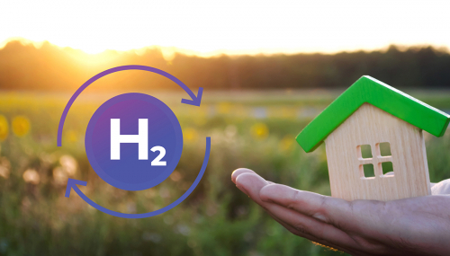 Home, Sweet Hydrogen Home: when H2 invests in domestic networks