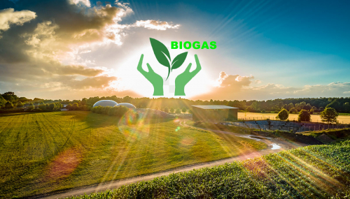 Le biogaz, solution à la crise énergétique mondiale ?