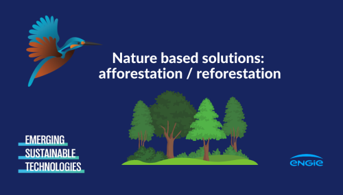 Nature based solutions : Afforestation & Reforestation