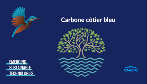 Le carbone bleu côtier