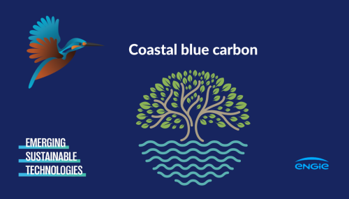 Coastal Blue Carbon