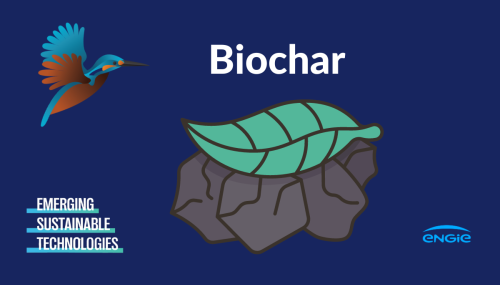 Biochar, the new climate-friendly black gold