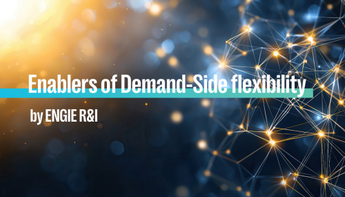An introduction to Demand-Side Flexibility