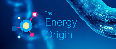 Blockchain : TEO (The Energy Origin) App  first on the Energy Web Chain !