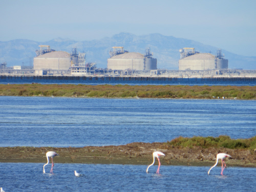 Bio-polymers and industrial performance: what if the human factor was crucial in innovation?
