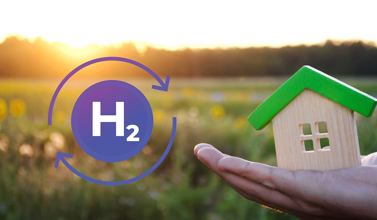 Home, Sweet Hydrogen Home: when H2 invests in domestic networks
