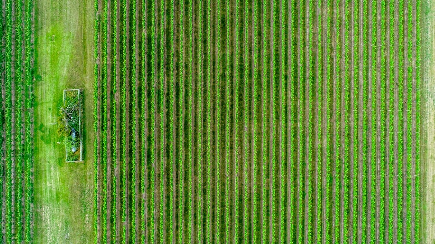 Agriculture And Renewables, Opportunities For The Planet And For Farmers