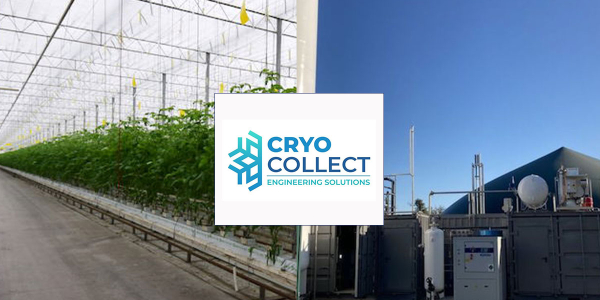 Engie New Ventures And Gtt Strategic Ventures Co Invest In Cryocollect