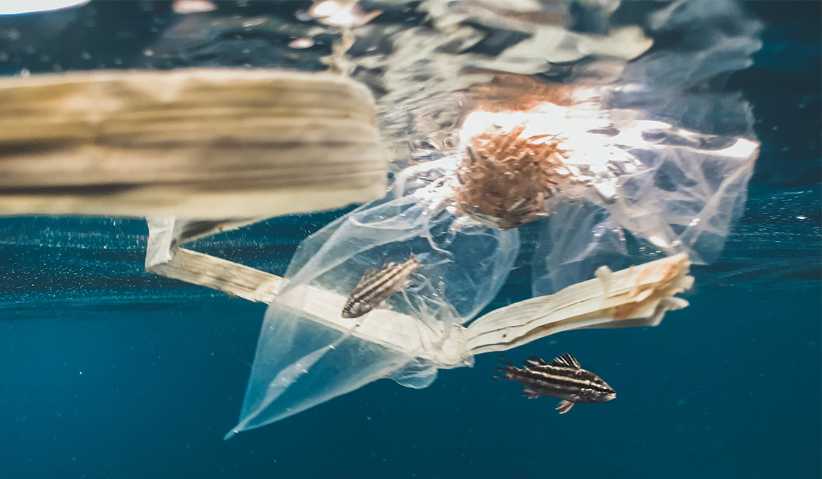 Quatre innovations pour nettoyer les océans, mers et rivières des plastiques