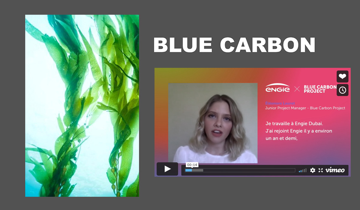 [STARTUP STORY] Blue Carbon
