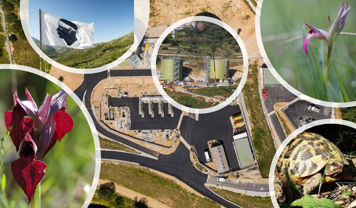 Expertise biodiversité : la nouvelle alliée de l’innovation industrielle ?