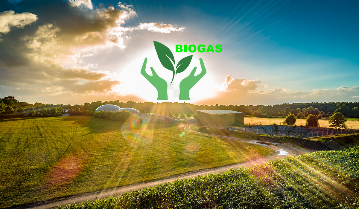 Could Biogas be a solution to the energy crisis?