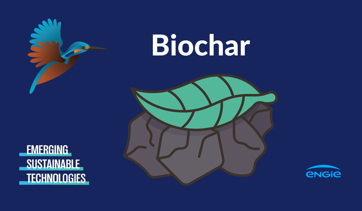 Biochar : un nouvel or noir favorable au climat ?