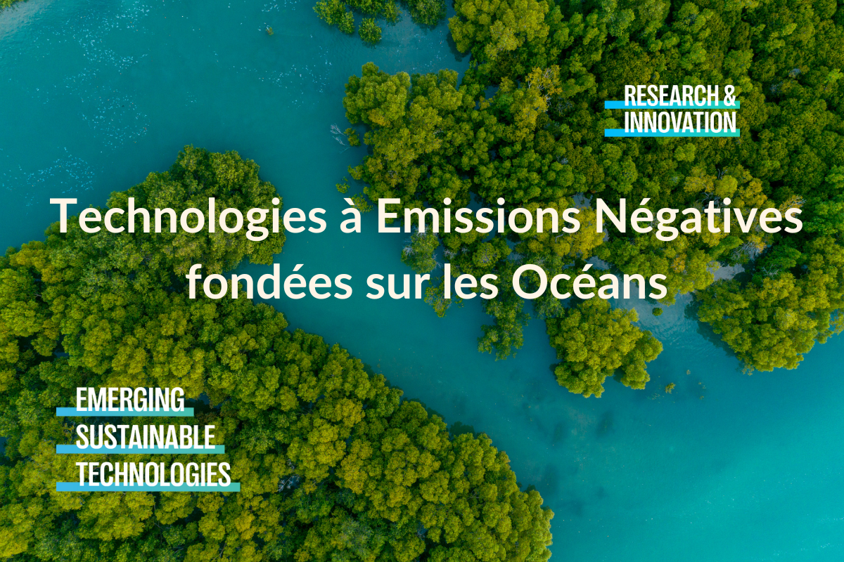 Technologies à émissions négatives fondées sur les océans