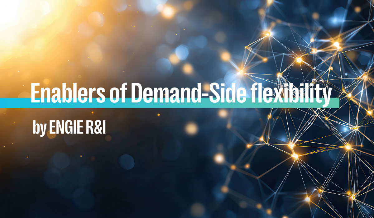 An introduction to Demand-Side Flexibility
