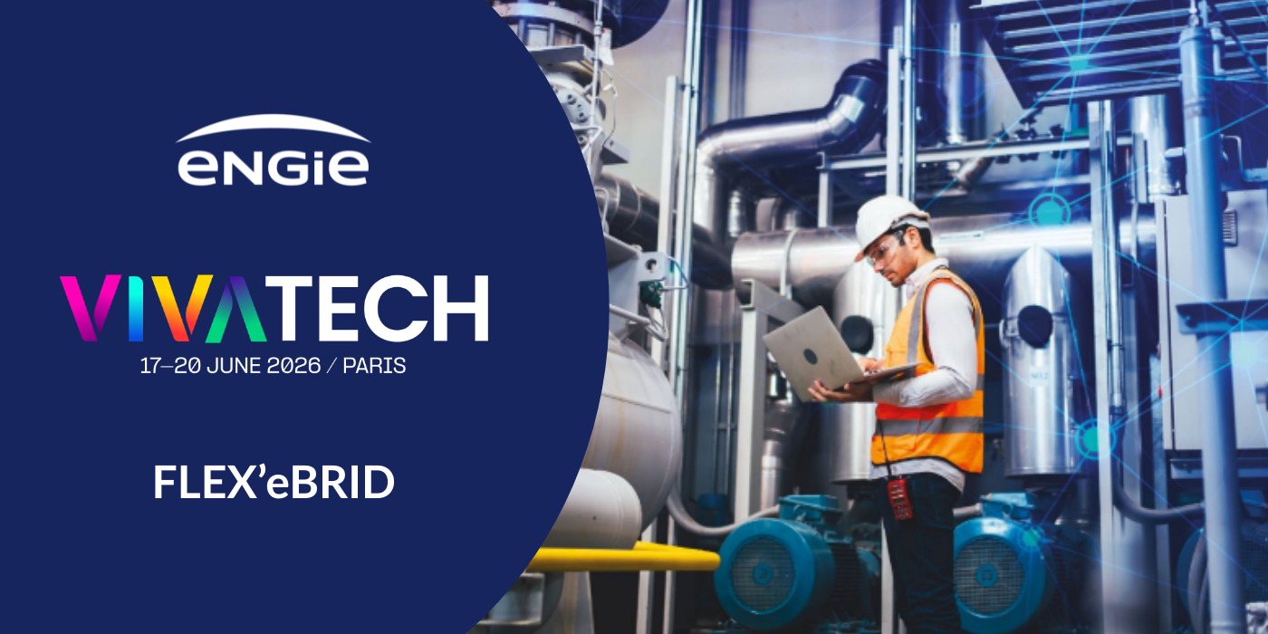 FLEX’eBRID: Low-Carbon Industrial Heat to Boost Competitiveness