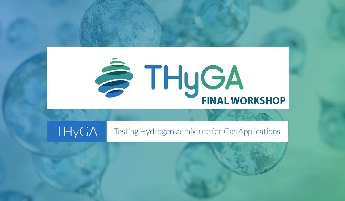 THyGA project : Final workshop!