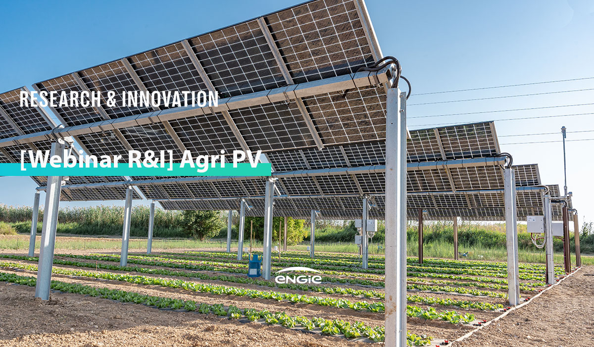 [Webinar R&I] Agri PV