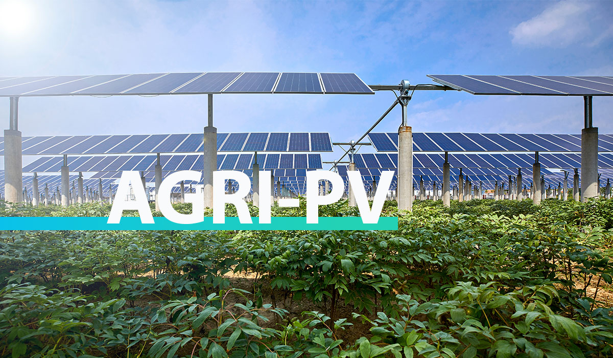 Innovative agri-PV solutions development and derisking